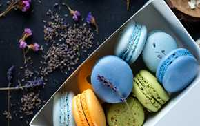 米国株式市場は小幅反落、地政学的リスクや金利高を嫌気もAI期待が下支え