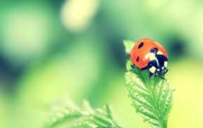 FIA、F1グループ、そして全11のレースチームが第9次コンコルド協定に正式に署名し、重要な5年間の協定でスポーツの強さと安定性を確保