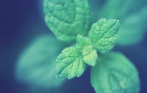 EY調査、「責任あるAI」ガバナンスは事業成果の向上に寄与