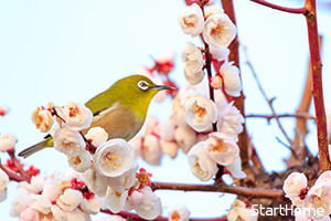 NY為替:米ドル・円は伸び悩み、155円68銭まで値下がり